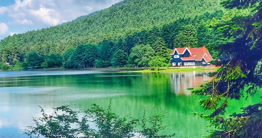 KARTEPE GÖLCÜK ORMANYA TURU