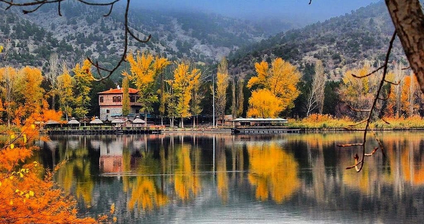 KARTEPE GÖLCÜK ORMANYA TURU