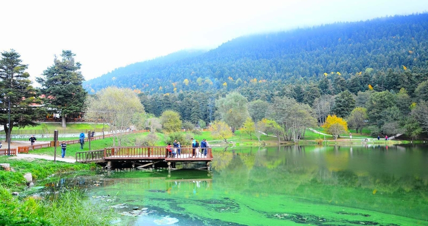 KARTEPE GÖLCÜK ORMANYA TURU