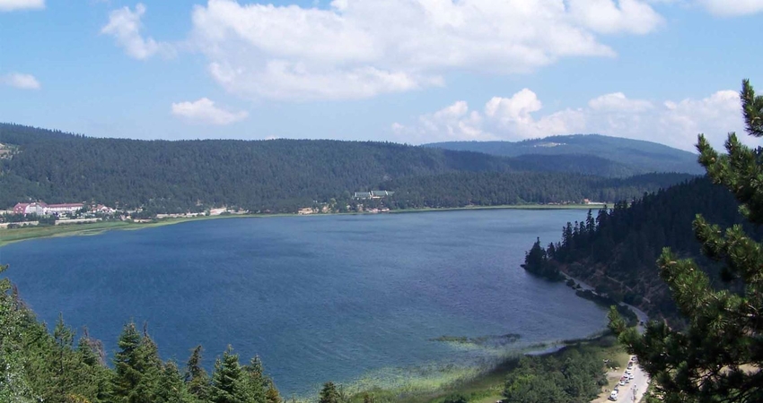 KARTEPE GÖLCÜK ORMANYA TURU