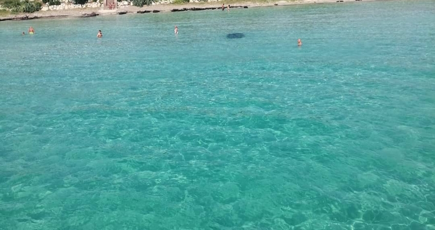 DİKİLİ TEKNE TURU