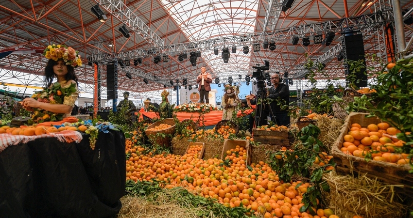 MANDALİNA FESTİVALİ SEFERİHİSAR