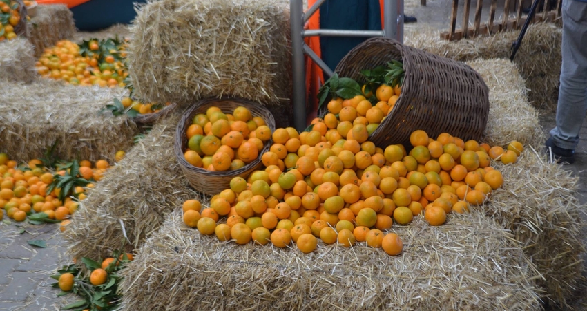 MANDALİNA FESTİVALİ SEFERİHİSAR