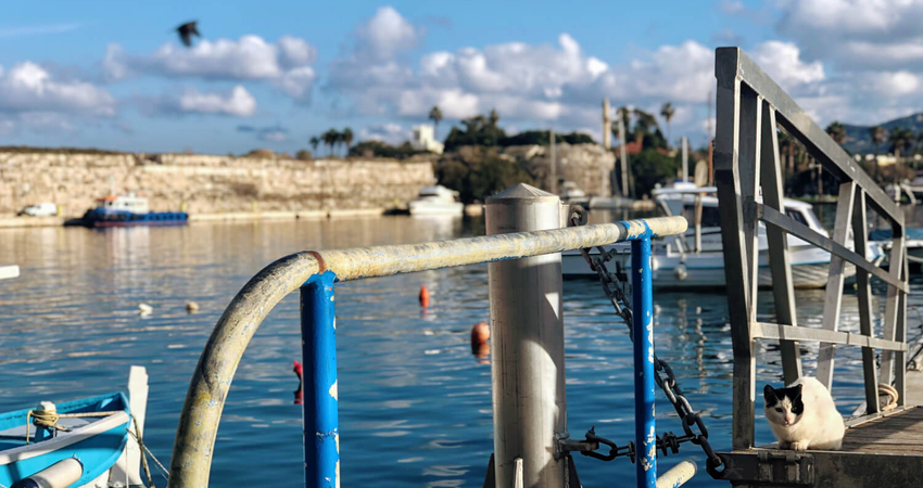 NOEL PAZARI ÖZEL 2 GÜN 1 GECE KOS ADASI TURU