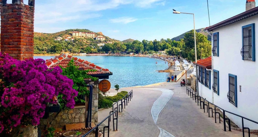 DATÇA BADEM ÇİÇEĞİ FESTİVALİ