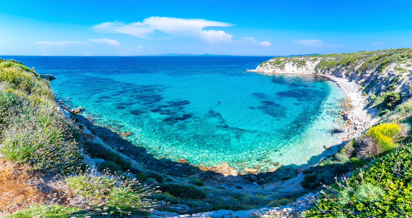 KARABURUN NERGİS FESTİVALİ