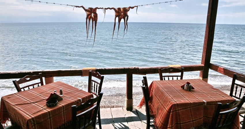 MİDİLLİ FESTİVALİ TURU GÜNÜBİRLİK