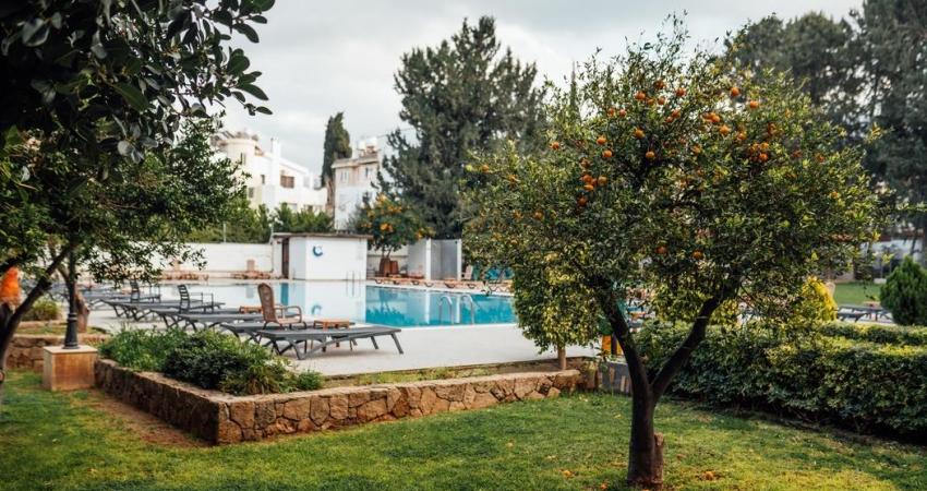 KIBRIS TURU MART - NİSAN - MAYIS 2026