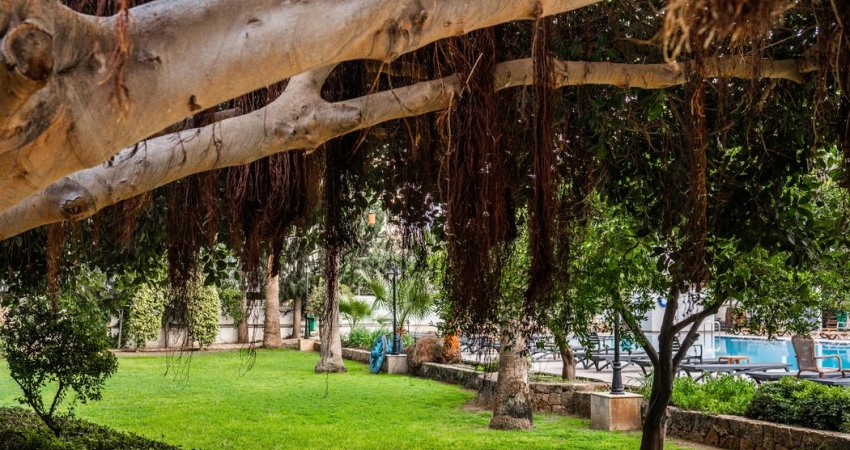 KIBRIS TURU MART - NİSAN - MAYIS 2026