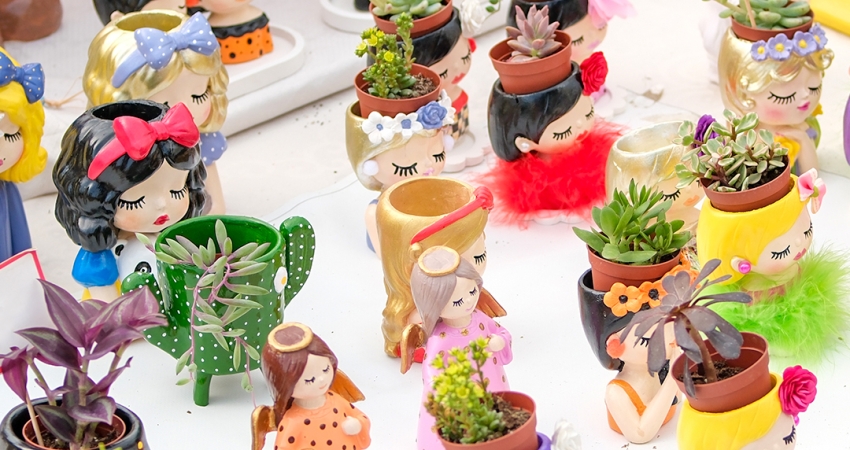 GÜNÜBİRLİK BODRUM ACI OT FESTİVALİ 