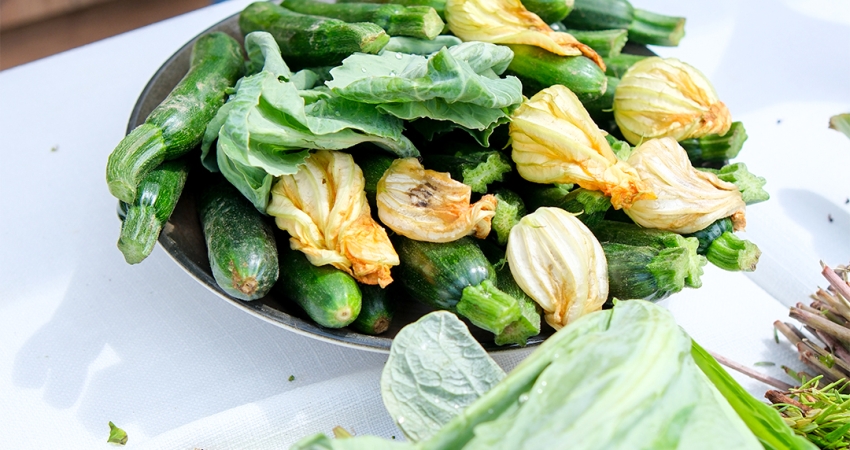 GÜNÜBİRLİK BODRUM ACI OT FESTİVALİ 