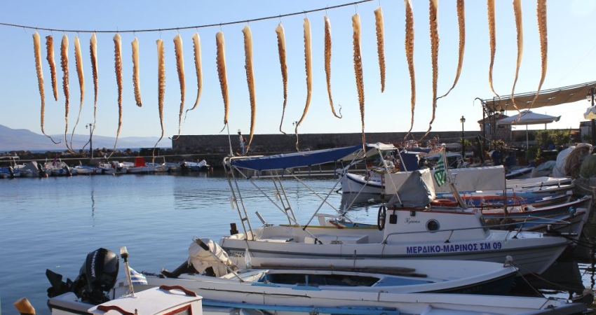 PASKALYA TATİLİ ÖZEL 3 GÜN 2 GECE MİDİLLİ TURU