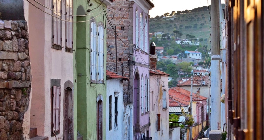 GÜNÜBİRLİK BERGAMA PAPATYA FESTİVALİ