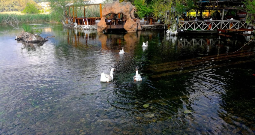 GÜNEY EGENİN İNCİLERİ