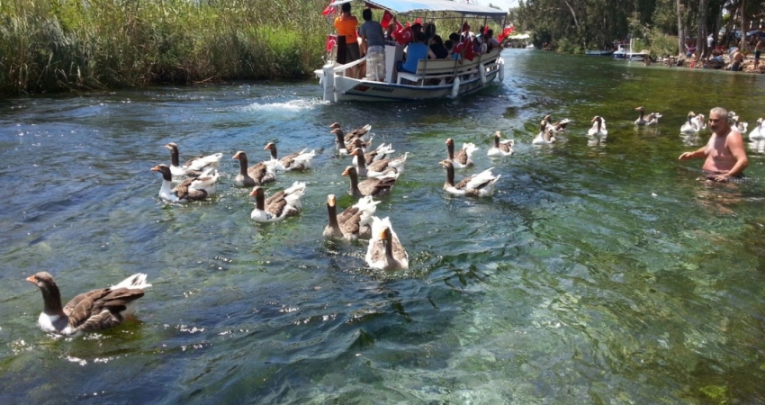 GÜNEY EGENİN İNCİLERİ