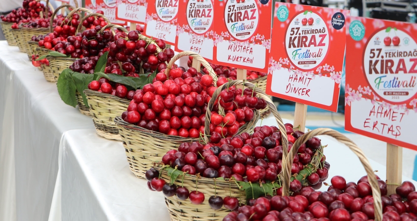 TEKİRDAĞ KİRAZ FESTİVALI