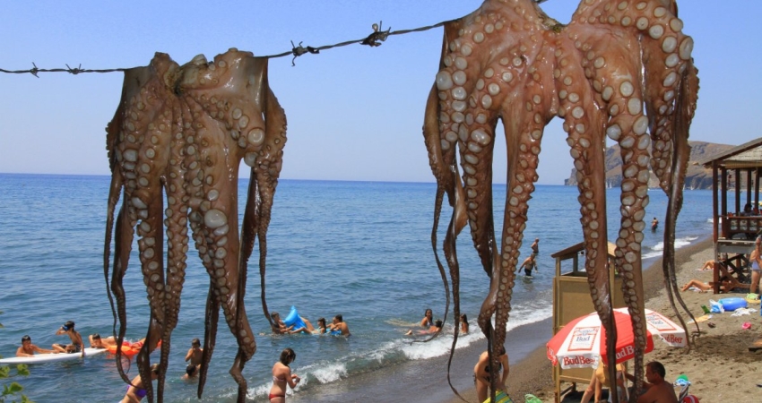 7.AGISOS KIRAZ FESTIVALI MIDILLI ADASI TURU 2 GÜN 1 GECE